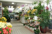 「ほそかわ花店」　（岩手県盛岡市）の花屋店舗写真3